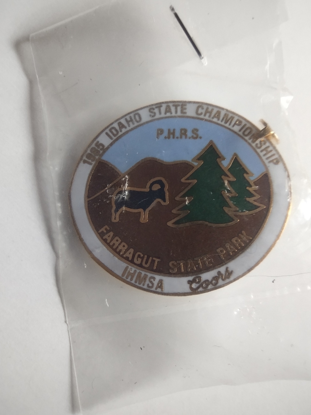 Vintage 1983 Idaho State Championship Enamel Pin Farragut State Park Coors